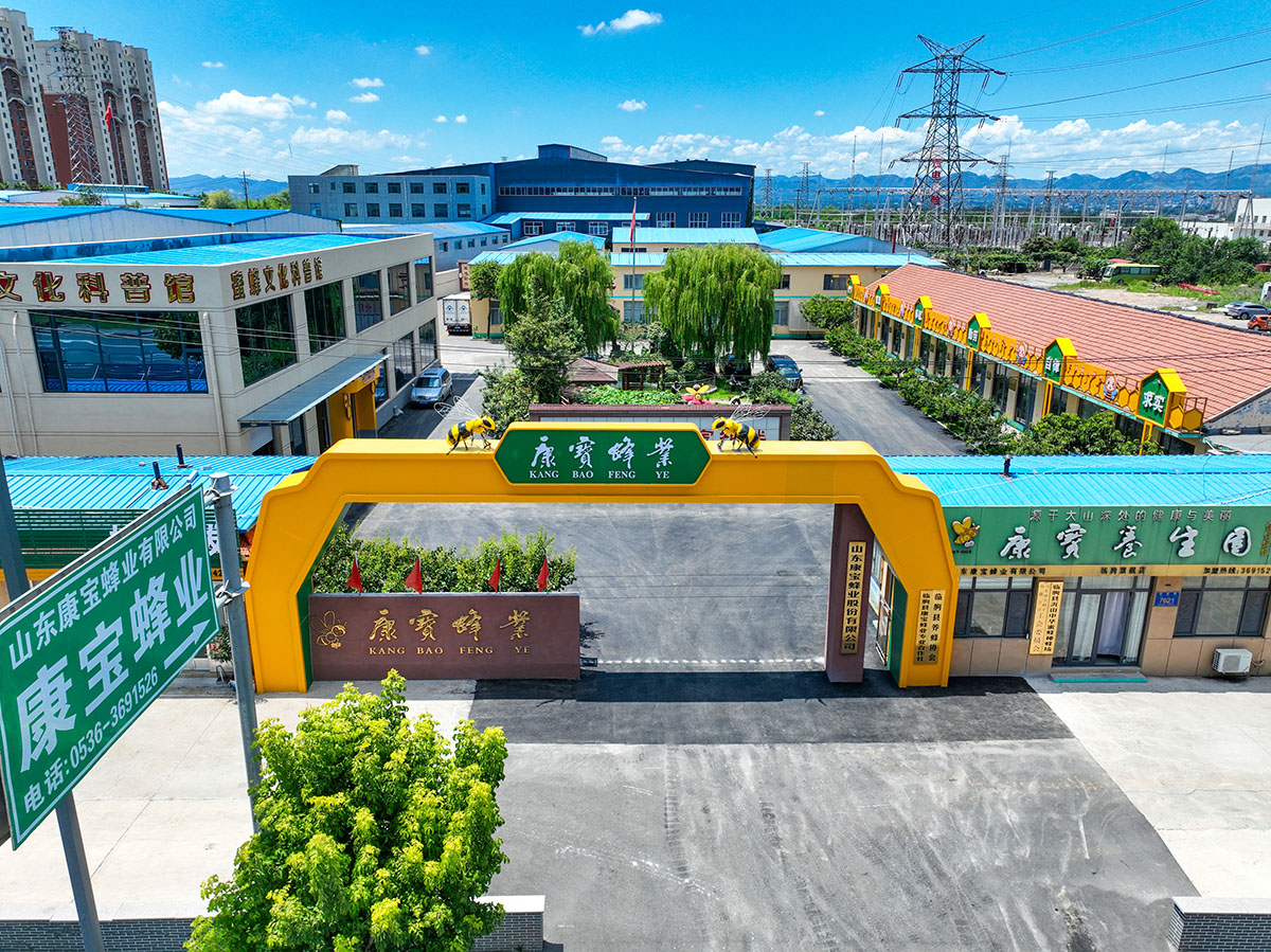 山东康宝蜂业厂区